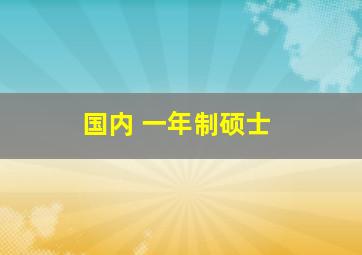 国内 一年制硕士